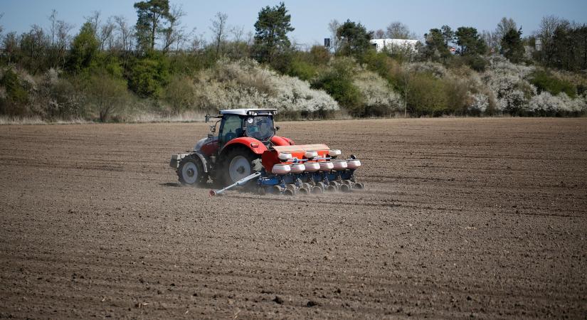Ezeket a növényeket nem lehet önmaguk után vetni