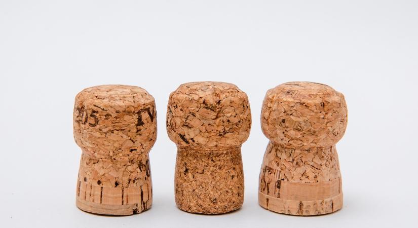 Tegyen egy parafa dugót a hűtőszekrénybe: meglepő hatással lesz a fogyasztásra