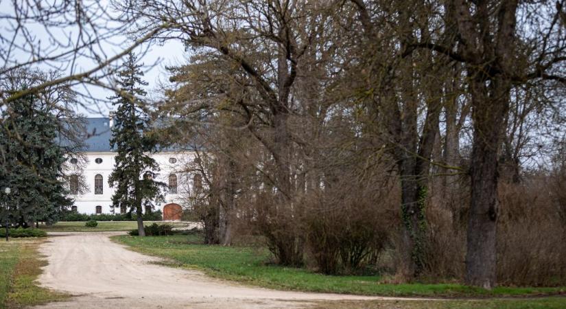 Videó: szabadlábra került a bicskei gyermekotthon volt igazgatója