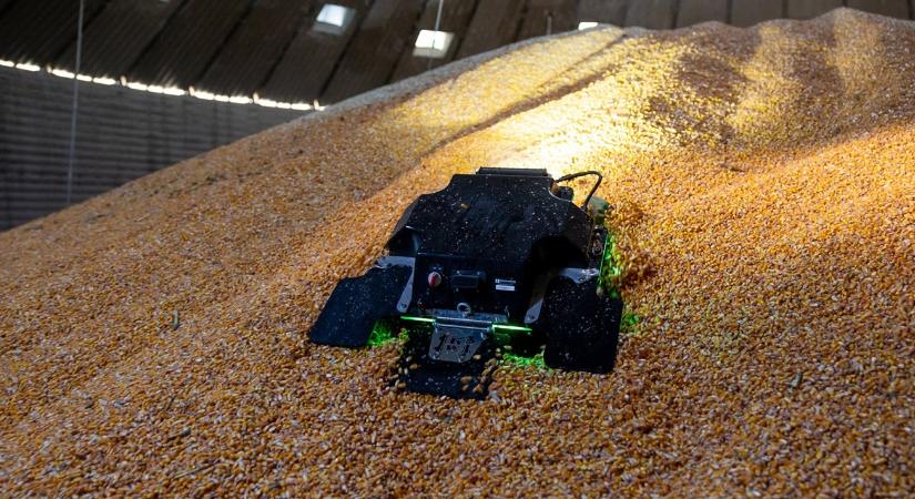 Halálos csapda a silóban: ez a robot mentheti meg a gazdákat a gabonafulladástól