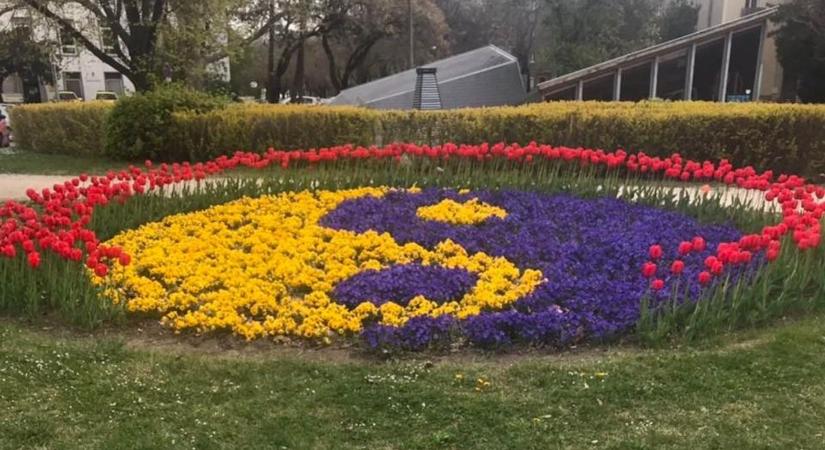 Egy kérdés, több tucat varázslatos kép – így néz ki a tavasz Dunaújvárosban – képgalériával