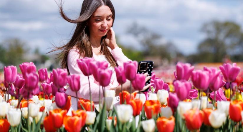 Tavasz Nagy-Britanniában