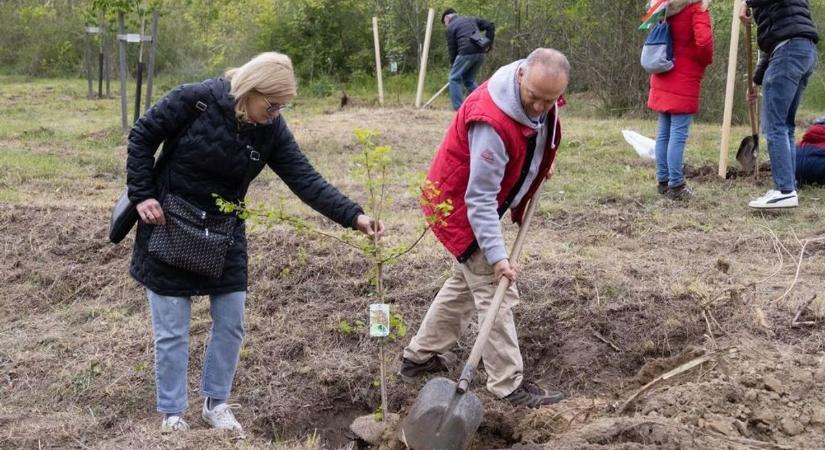 Rá sem ismerünk majd a Méntelepre: nagyszabású átalakulás kezdődik a volt Kresz parkban