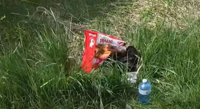 Amikor kinyílik a bicska a zsebben: így ítélték halálra a babákat!