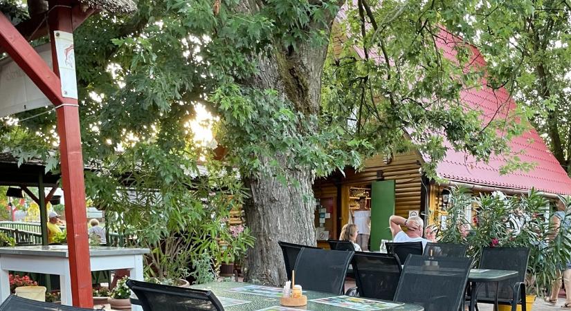 Gyász: Béla bácsi nélkül indul a 2026-os szezon a népszerű baranyai csárdában – közel 20 évig szolgálta a vendégeket