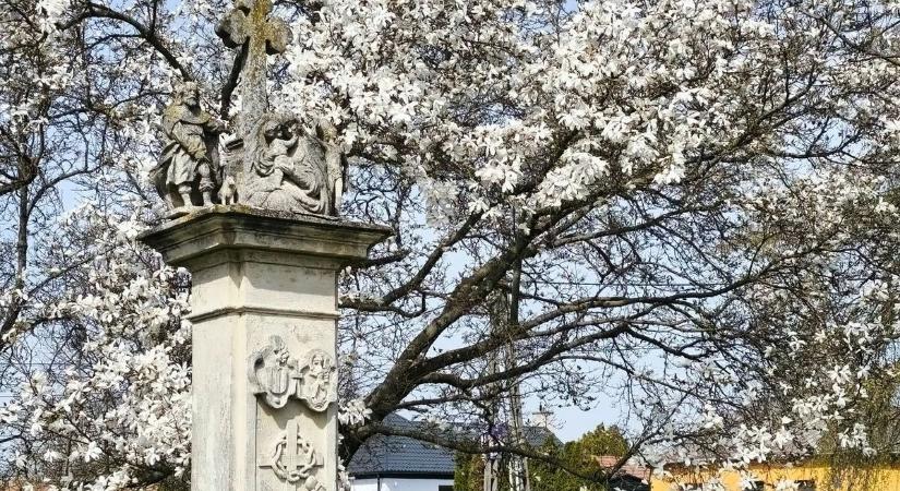 Zöldebbé tették Hédervárt, kibővítették a játszóteret is