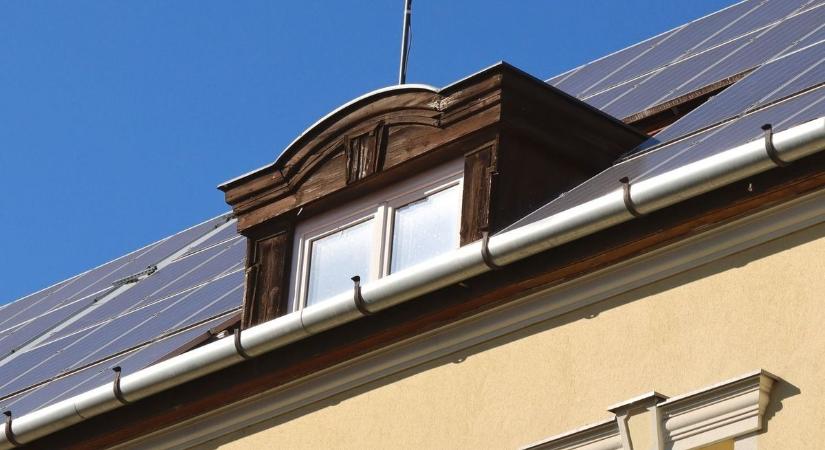 Ha ez a kártevő nálad is megjelenik, tavasszal már késő cselekedni