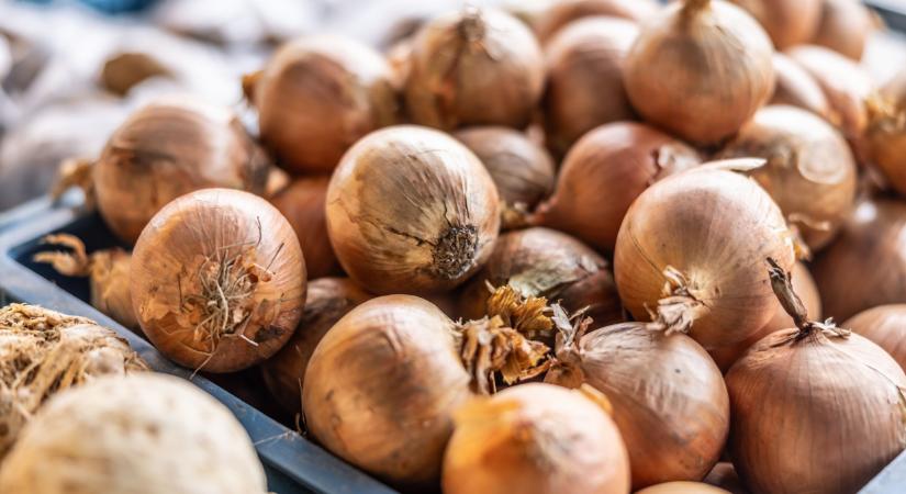 Ilyen hagymával lehet tele rengeteg piac: durva, honnan érkezik