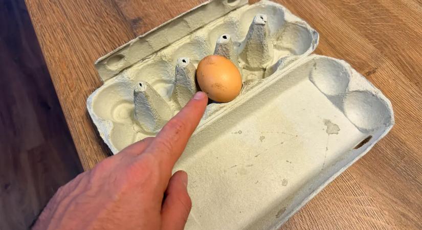 Hegyes végével felfelé vagy lefelé tároljuk a tojást? Na ezt rosszul tudják a magyarok!