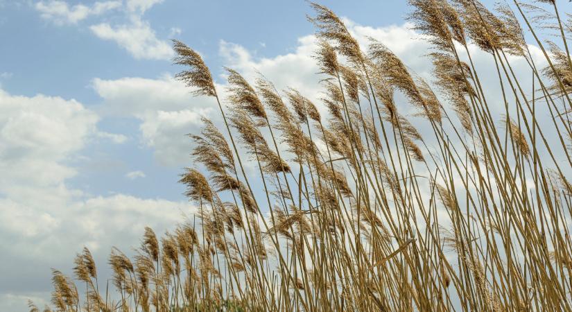 Vandalizmus Tatán – alig egy éve felújított létesítményeket, épületeket tettek tönkre