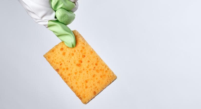 Mi rejtőzik a konyhai szivacsban? Erre nem számítottál