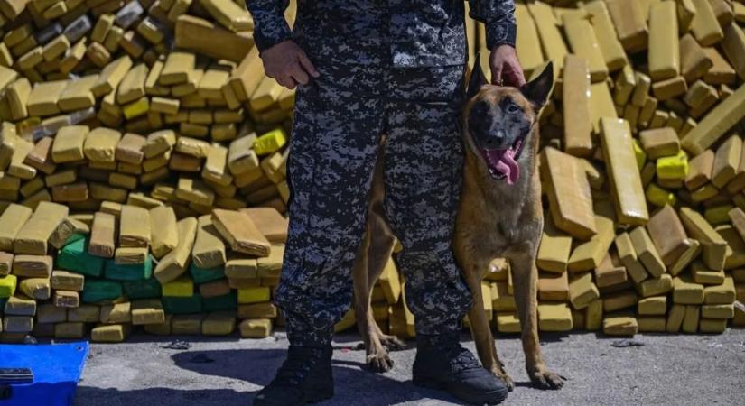 Nyugdíjba küldték a Nemzeti Nyomozó Iroda munkatársát – 1200 bevetést tudhat maga mögött