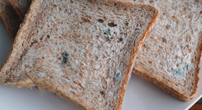 Szakértők is figyelmeztetnek! SOHA ne tárold így a kenyeret, kétszer olyan gyorsan megpenészedik: jobb, ha örökre elfelejted ezt a módszert