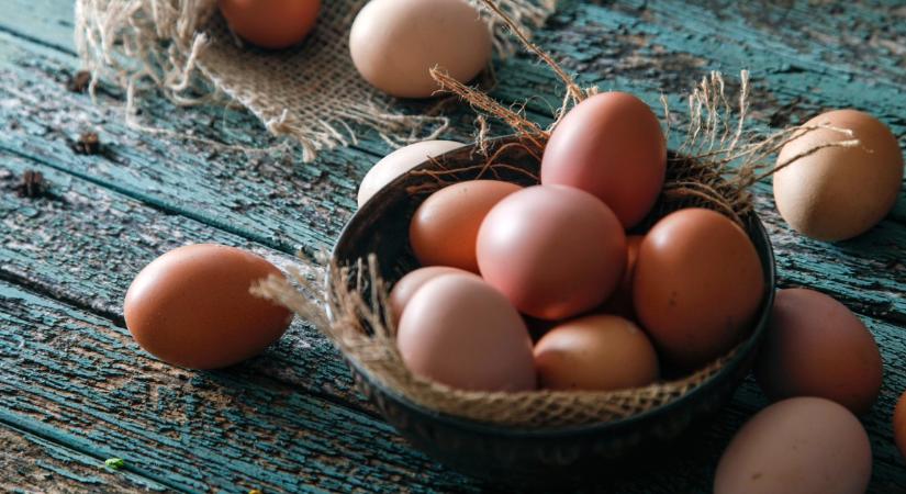 A kereskedők nem győzik hangsúlyozni: ezért jobb, ha minél kisebb méretű tojást veszel