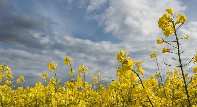 Áprilisi meglepetés: élesen kettéválik az időjárás április 21-én, kedden