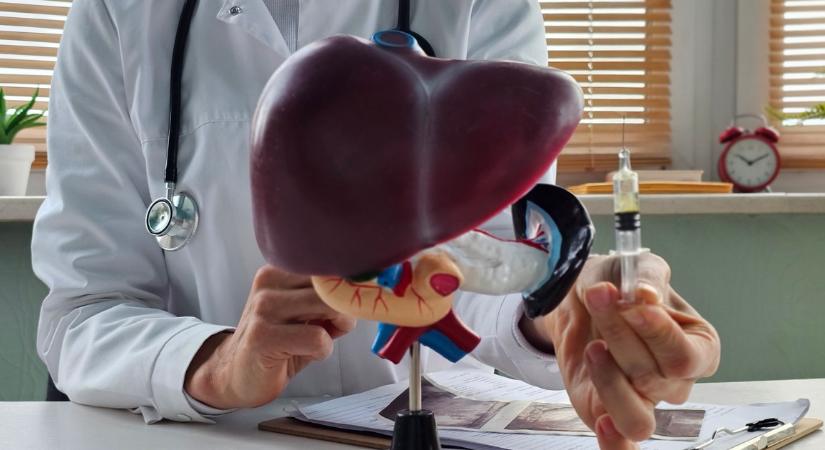 Ezt szinte senki nem tudta: Nem a cukor, hanem ez az ital pusztítja leginkább a májat