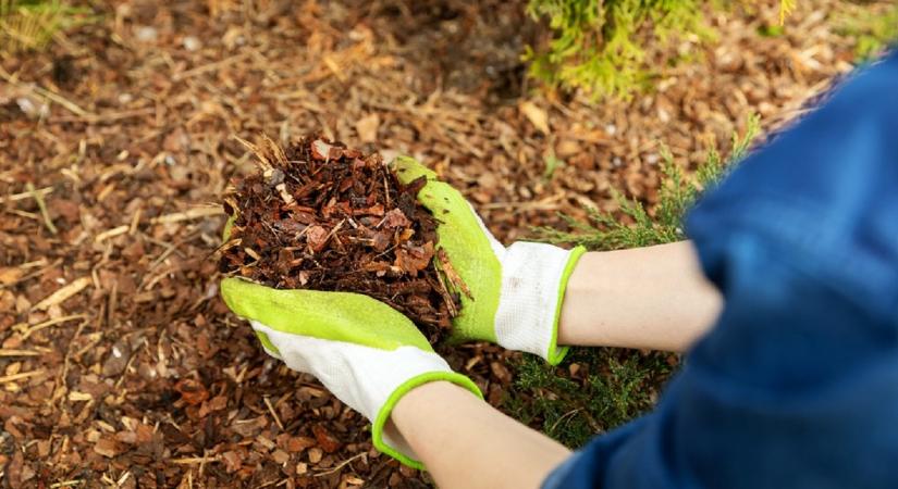 Így lesz több termés kevesebb munkával - működő módszer