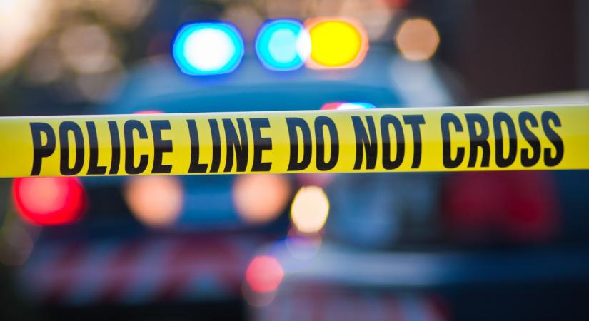 Halálra akarta gázolni a tehetségkutató sztárja az énekesnőt