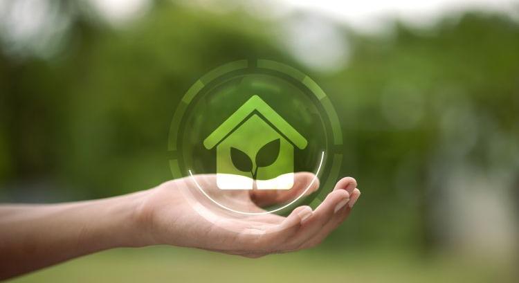 Fóliaház vagy hidropónia? Erre mozdul a termesztés