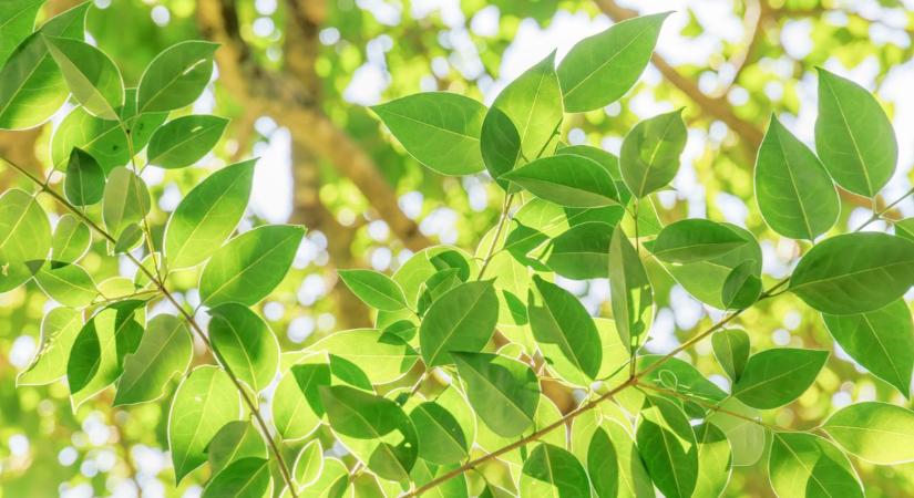 Kedden a felhők lesznek többségben és eső is lehet
