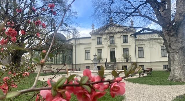 Hoffmann Liza férjhez megy