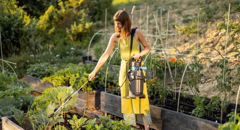 A legtöbben ezt rontják el a kertben – itt megmutatják, hogyan csináld jól