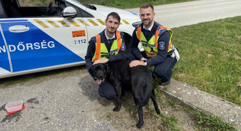 Négylábú gyorshajtót csíptek fülön a kaposvári rendőrök