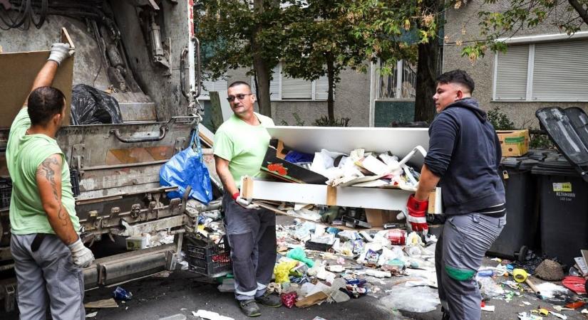 A lomtalanítás segít megőrizni a ház és gazdáik egészséges állapotát