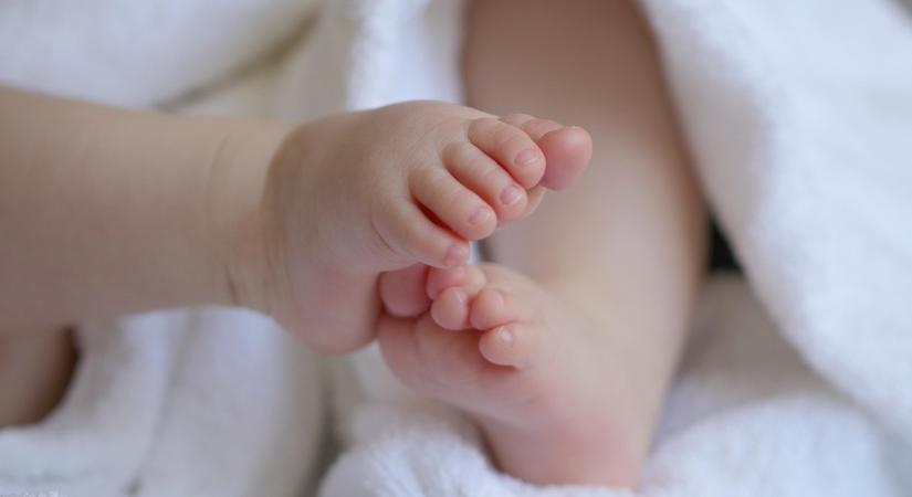 Mérgezett bébiétel-botrány: öt üveget már megtaláltak, de egy még mindig nem került elő