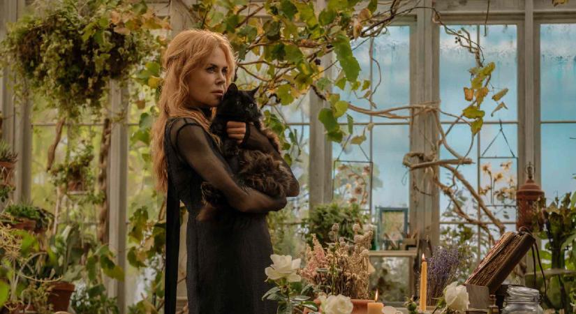 Oké, most már várom az őszt, hogy láttam az Átkozott boszorkák 2. előzetesét