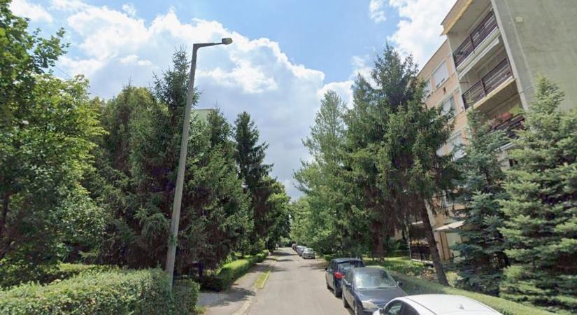 Gyilkosság történt a csendes egri utcában