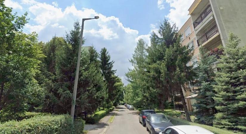 Rendőrök lepték el Eger egy csendes utcáját: gyilkosság történt