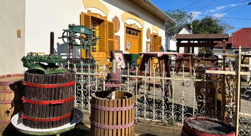 Négy újabb borbíráló Adonyban