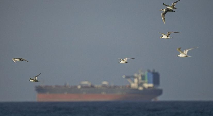 Kriptós csalók próbálják lehúzni a Hormuzi-szoros szélén rekedt hajósokat