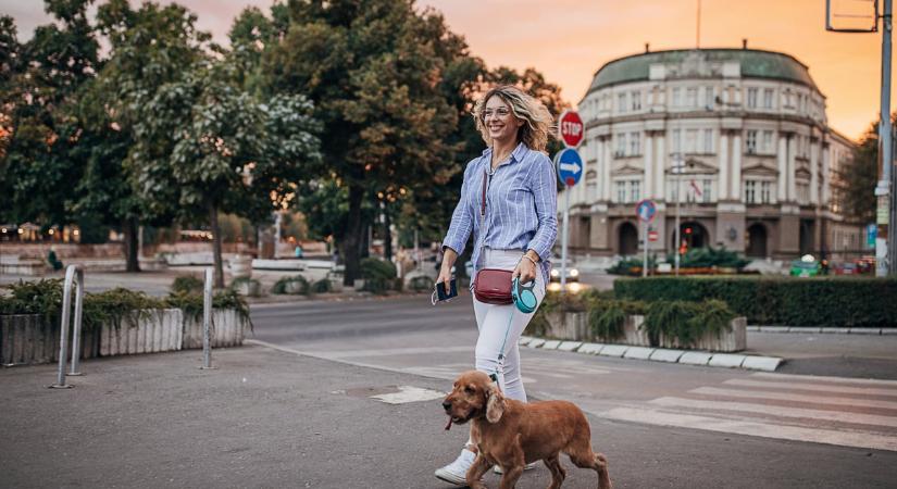 A leggyakoribb hibák, amit a kutyások egymással szemben elkövetnek