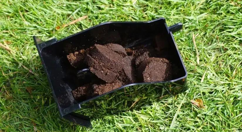 Megmutattam a szomszédnak, mit csinálok a reggeli kávé maradékával, és azóta nála is minden virágzik