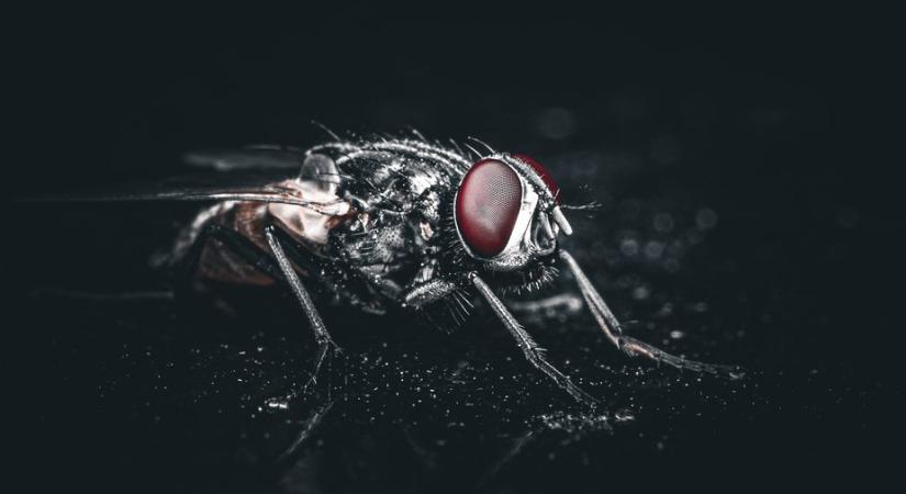 Bug szívta ki a színeket az Instagramra feltöltött fotókról