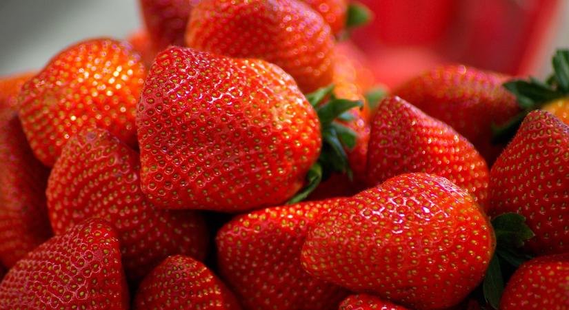 Fordulóponthoz érkezett a francia szamócapiac