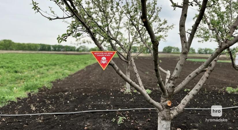 Ismeretlen robbanószerkezet sebesített meg egy férfit Herszon megyében