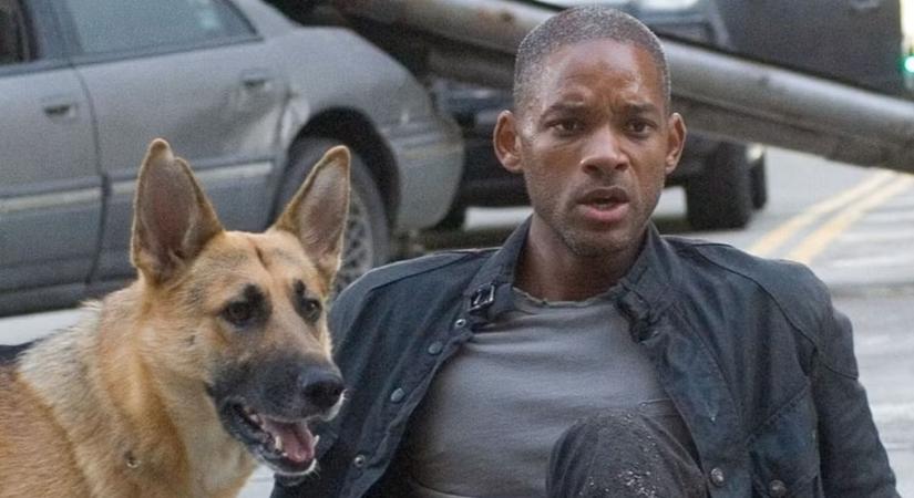 Úgy néz ki, tényleg elkészül a Legenda vagyok 2., már a testhezálló rendezőt is megtalálták hozzá