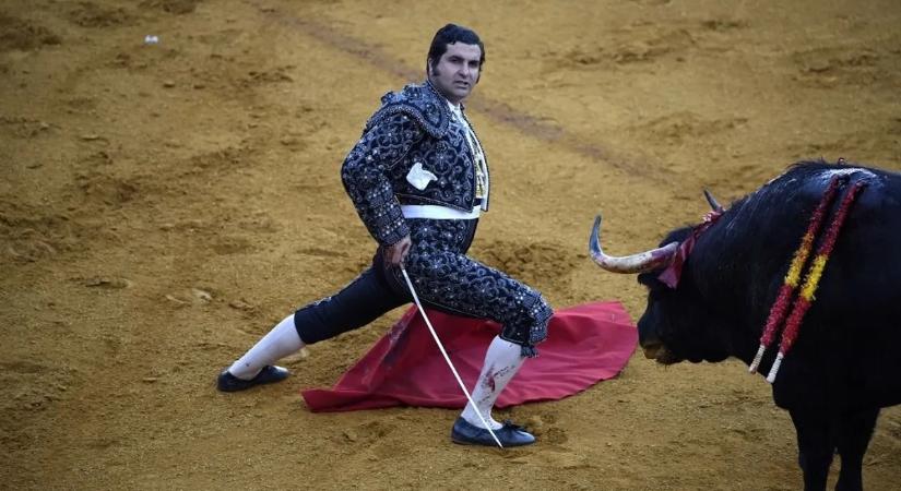 Ez fájhatott: horrorsérülést szenvedett a sztártorreádor – videó