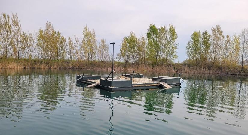 Úszó költőszigetet kaptak a madarak a Szárföldi Kavicsbányában