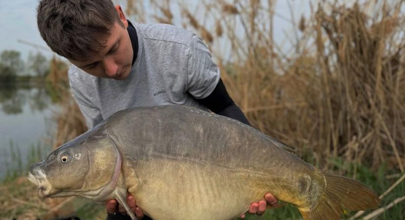 Két szép ponty a hortobágyi ágból, nem akármilyen szépség a Látóképen!