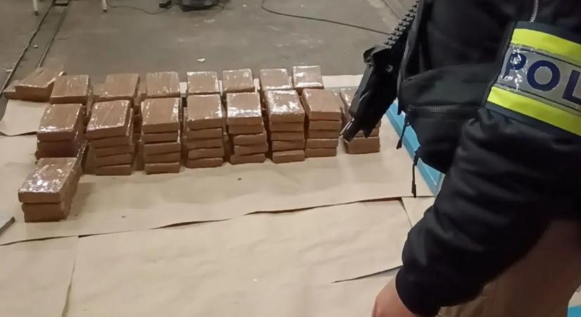23 milliárd forintnyi kokain a csepeli szabadkikötőben - GPS jelezte a banán alatti drogot a maszkos fantomoknak