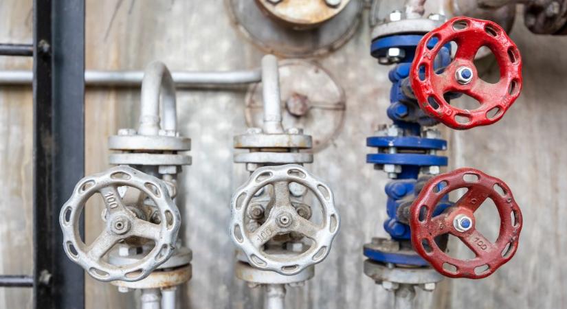 Éhségsztrájk a vegyiüzemben: a dolgozók pénteken kezdtek demonstrációba, íme, hol tart az ügyük