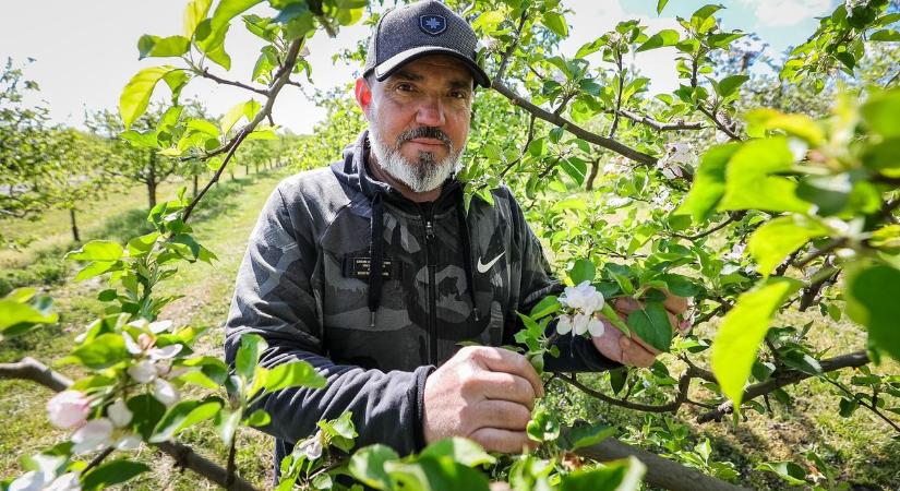 Mínuszok dönthetik romba az idei gyümölcsszezont, van, ahol jelentős a fagykár - Fotók