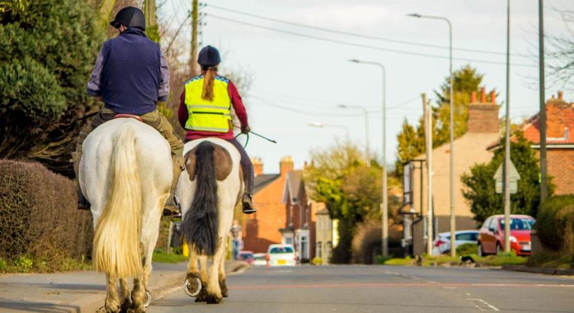 Aknába csúszott lóhoz riasztották a tűzoltókat