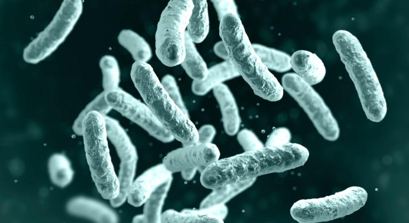 Terjed a „szuperhasmenés”: az antibiotikumnak is ellenáll a baktérium – nincs rá gyógyszer!