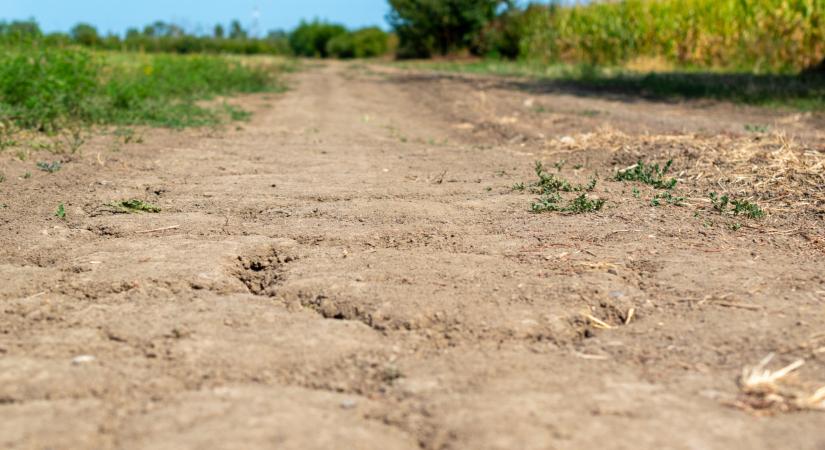 Drámai figyelmeztetés a magyar kutatótól: ami most elkezdődött, az rosszabb a 2022-es rémálomnál