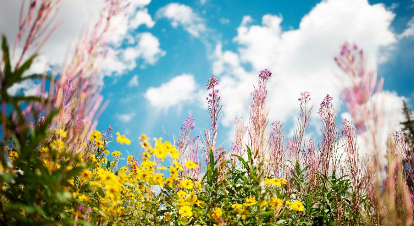 Nem jó hírek jöttek a hőmérséklet alakulásáról